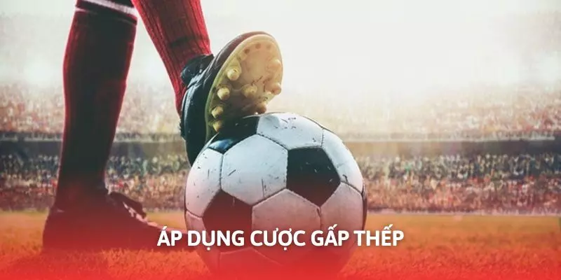 Áp dụng gấp thếp được đánh giá cao về hiệu quả